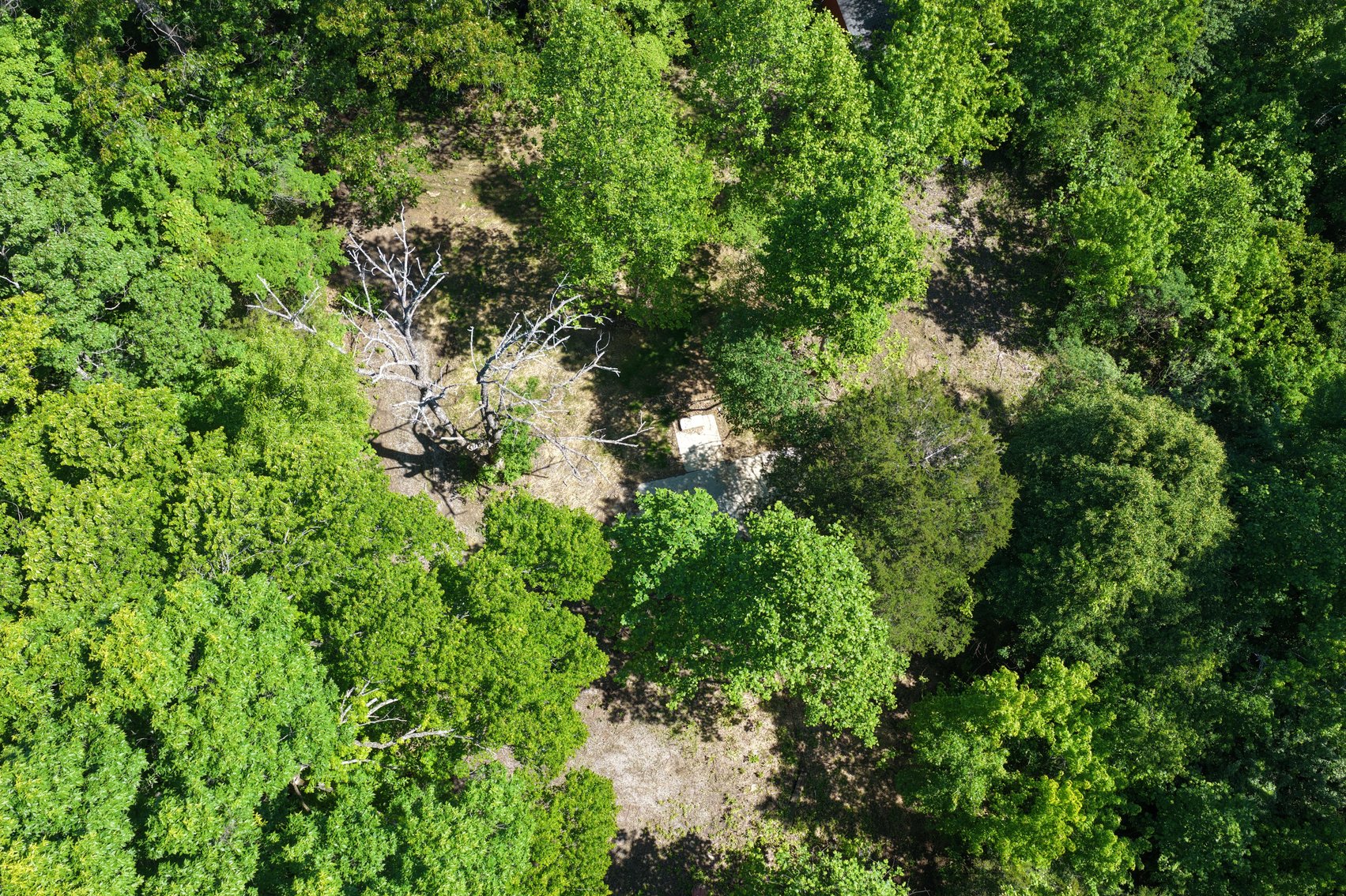 Image for 3993 Teddybear Lane, Carbondale, IL 62902