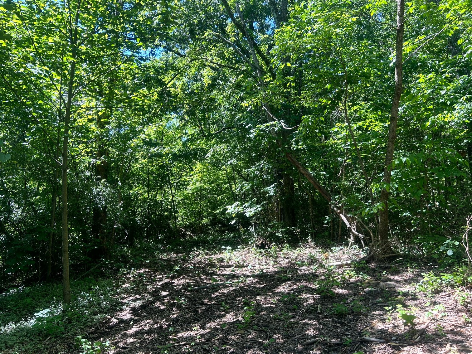 Image for 3993 Teddybear Lane, Carbondale, IL 62902