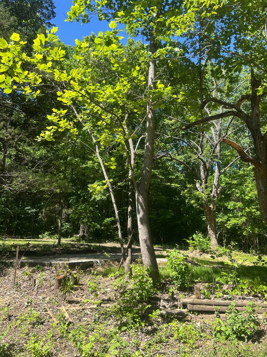 Image for 3993 Teddybear Lane, Carbondale, IL 62902