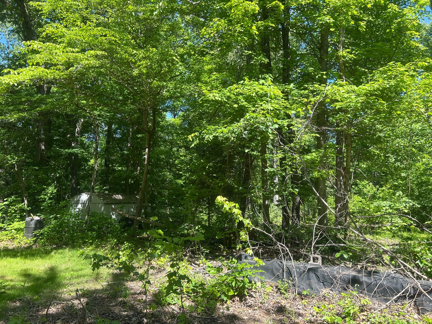 Image for 3993 Teddybear Lane, Carbondale, IL 62902