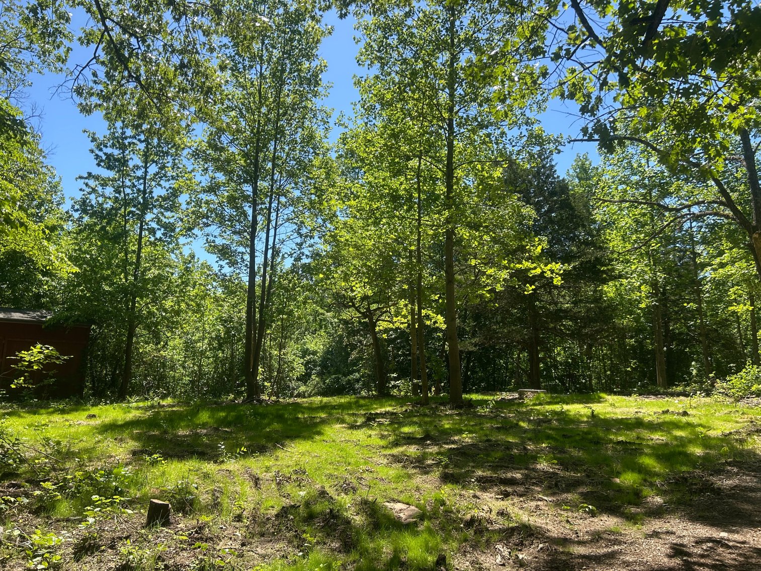 Image for 3993 Teddybear Lane, Carbondale, IL 62902