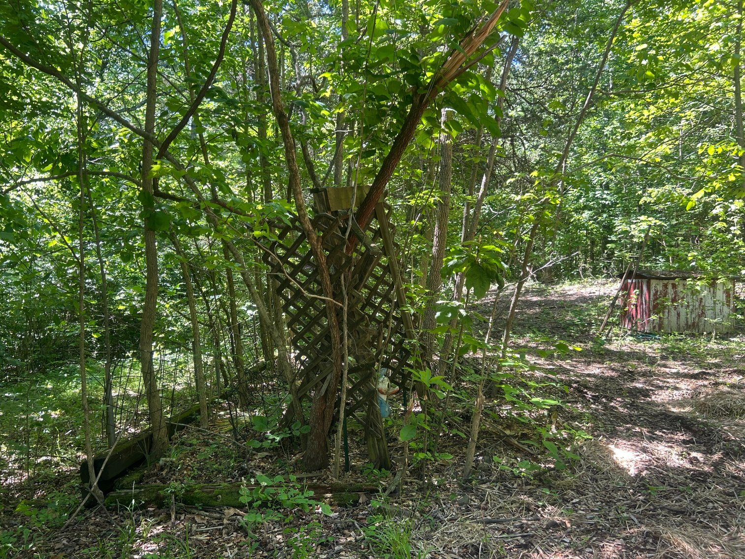 Image for 3993 Teddybear Lane, Carbondale, IL 62902
