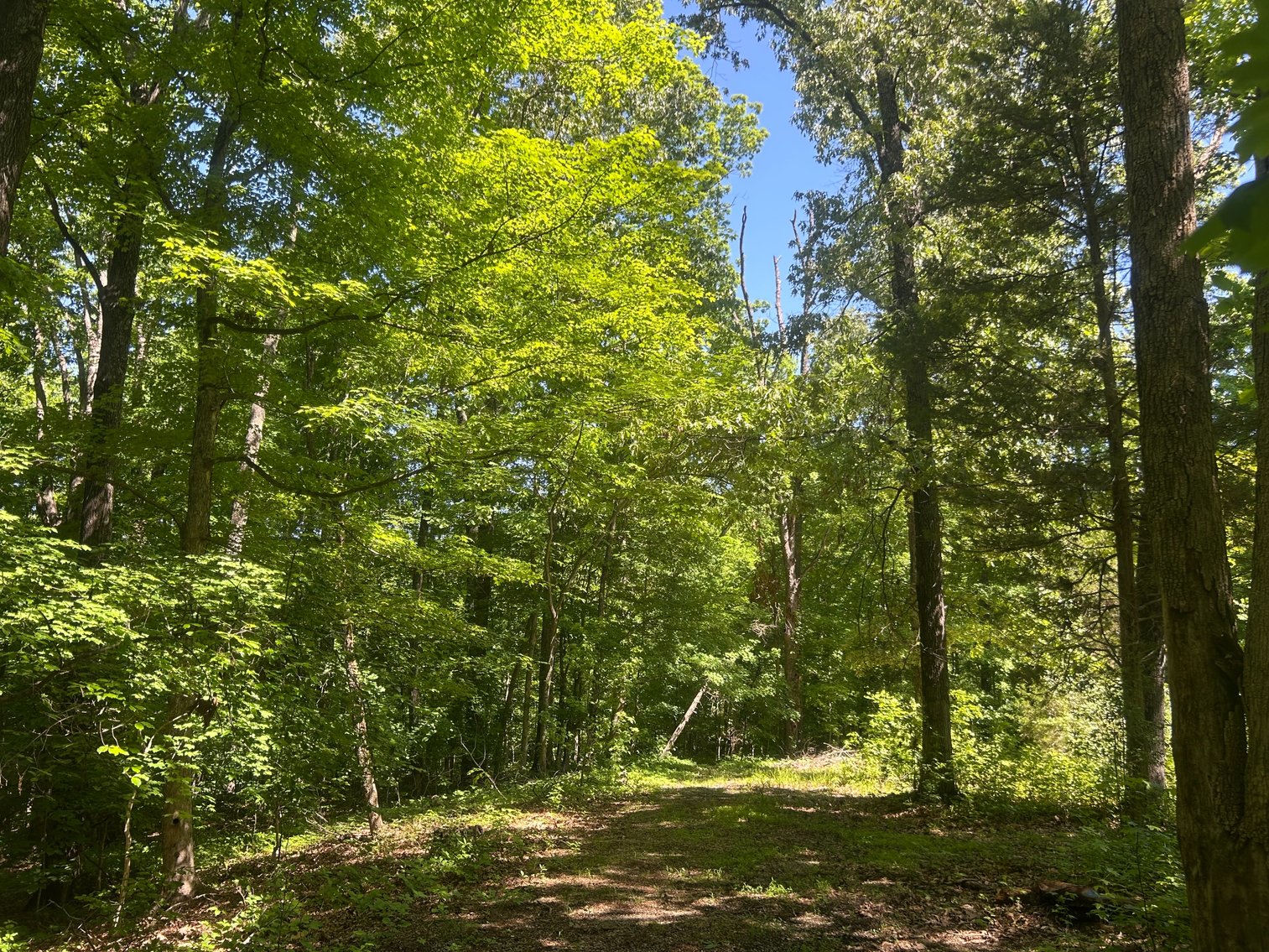 Image for 3993 Teddybear Lane, Carbondale, IL 62902