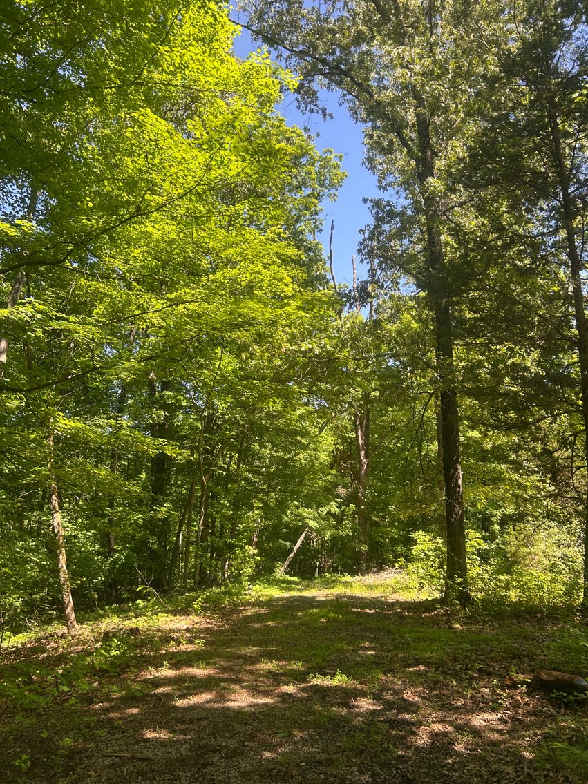 Image for 3993 Teddybear Lane, Carbondale, IL 62902