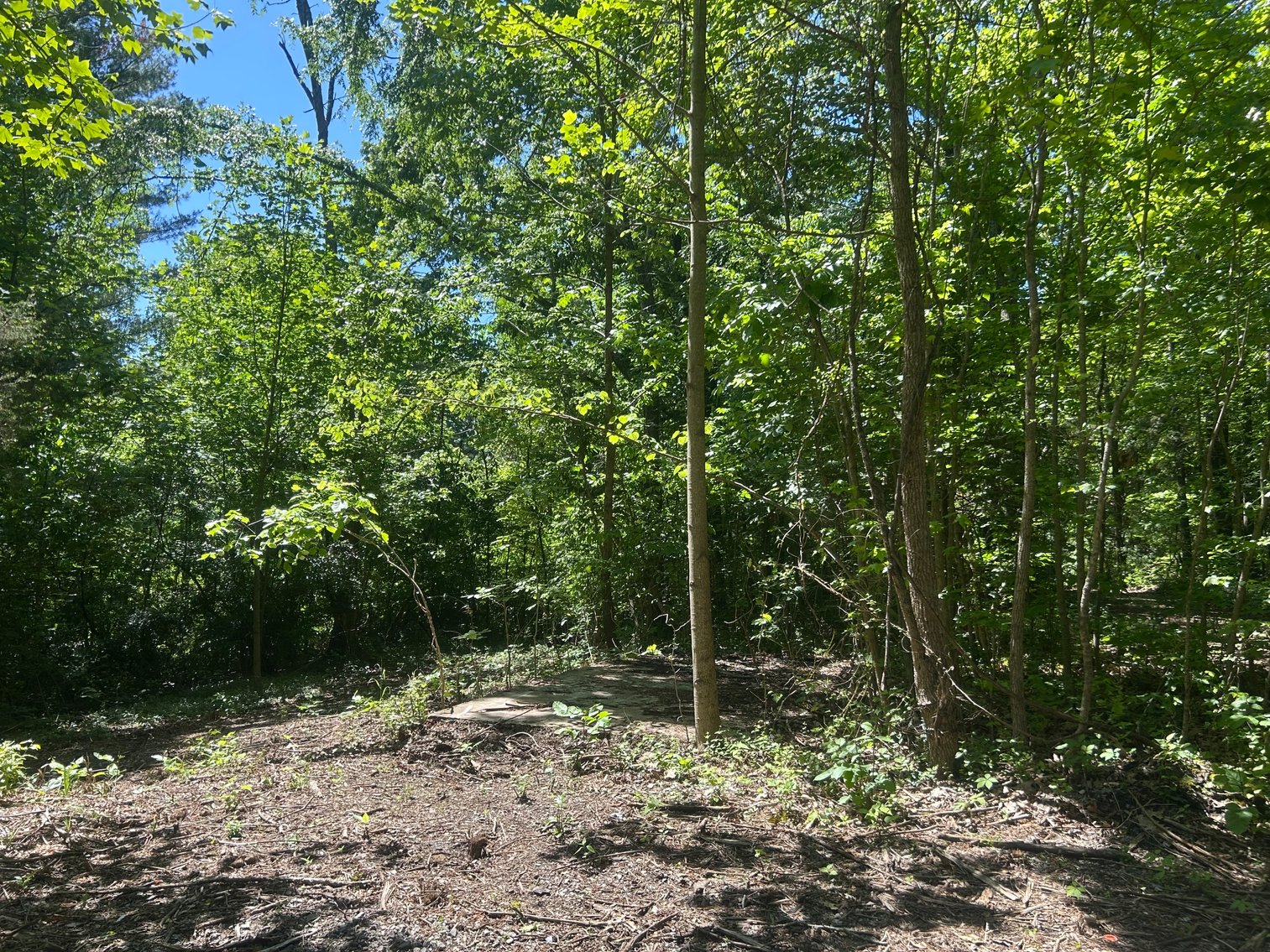 Image for 3993 Teddybear Lane, Carbondale, IL 62902