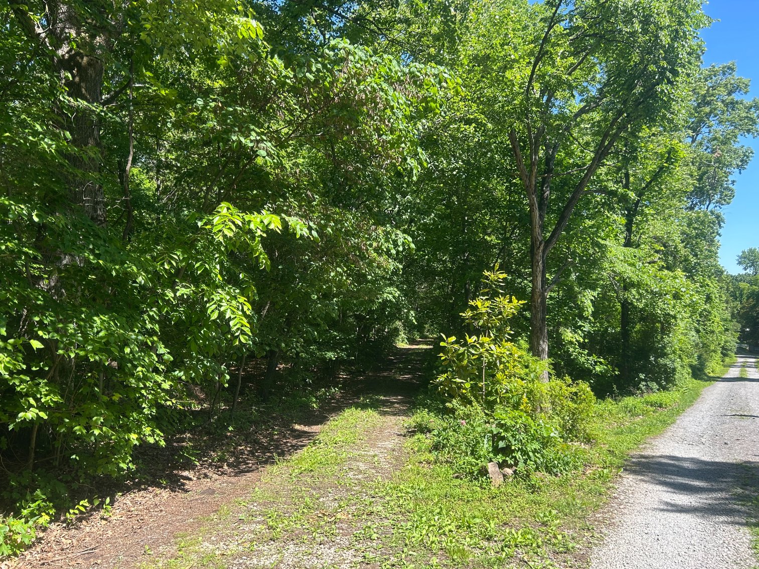 Image for 3993 Teddybear Lane, Carbondale, IL 62902