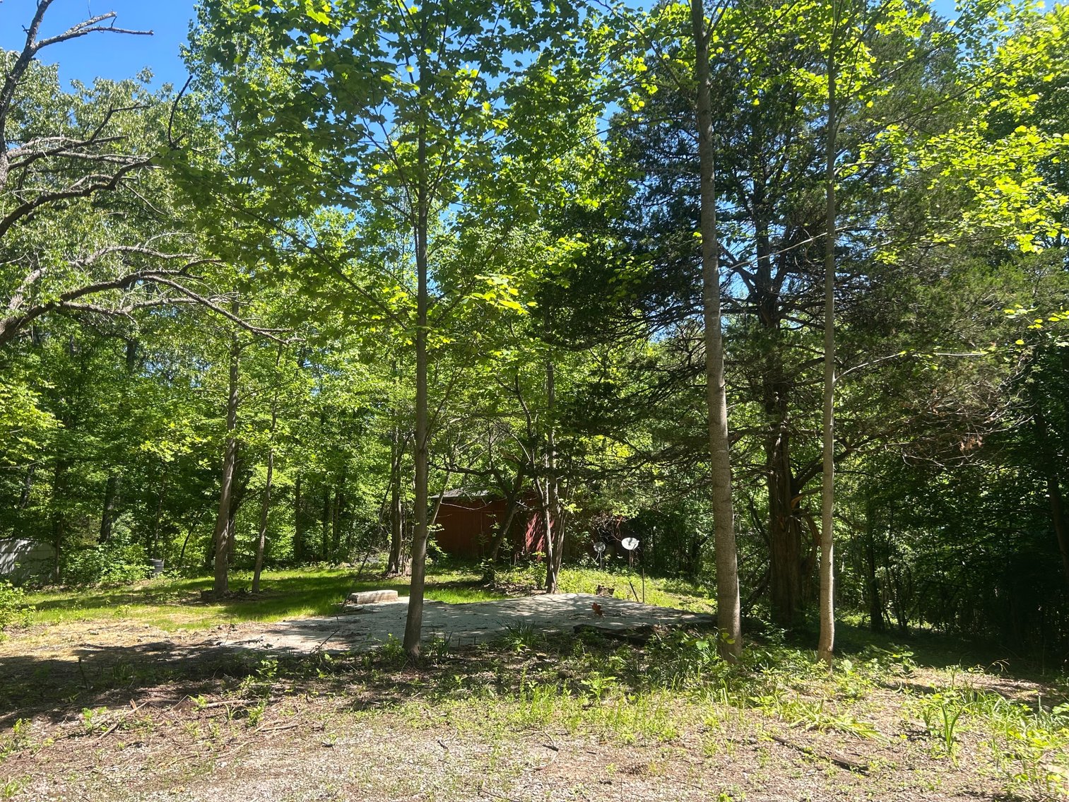 Image for 3993 Teddybear Lane, Carbondale, IL 62902
