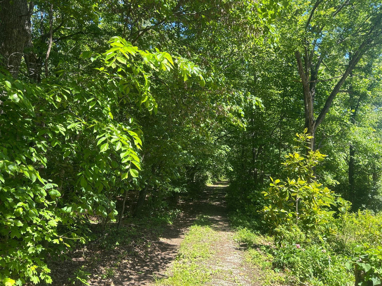 Image for 3993 Teddybear Lane, Carbondale, IL 62902
