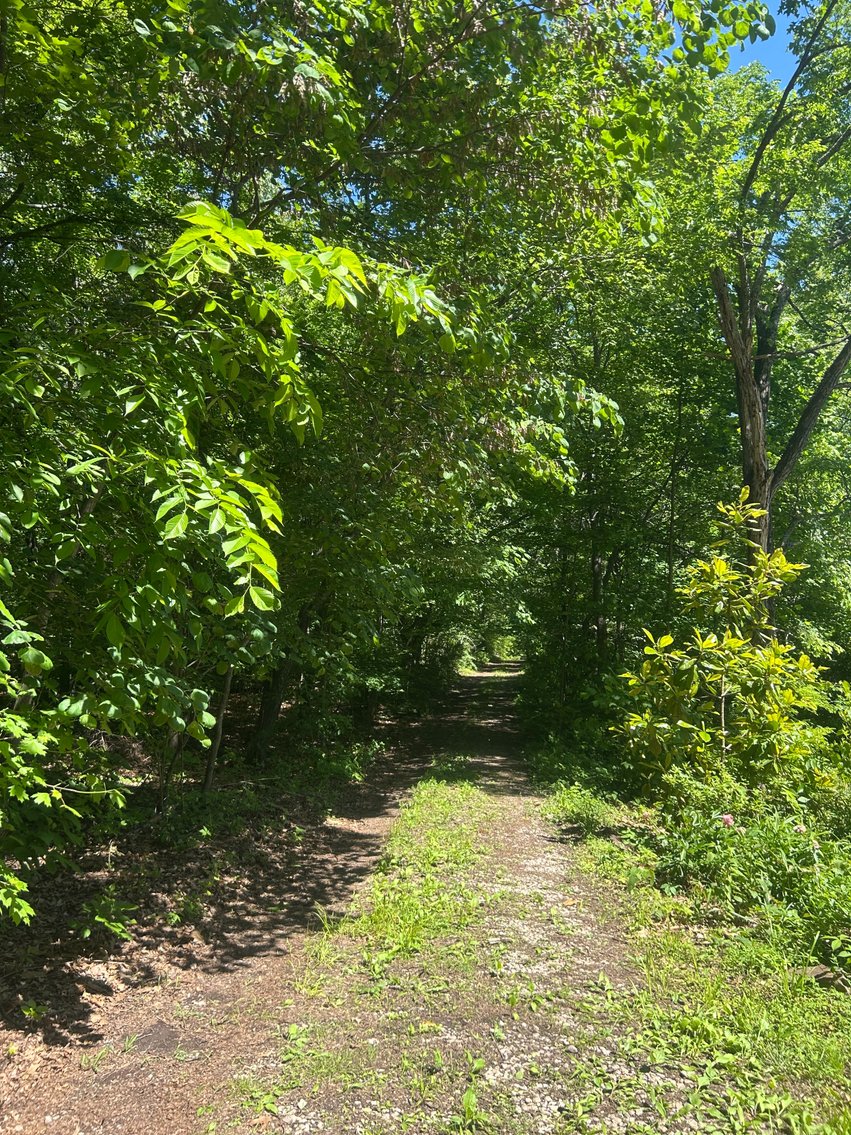 Image for 3993 Teddybear Lane, Carbondale, IL 62902