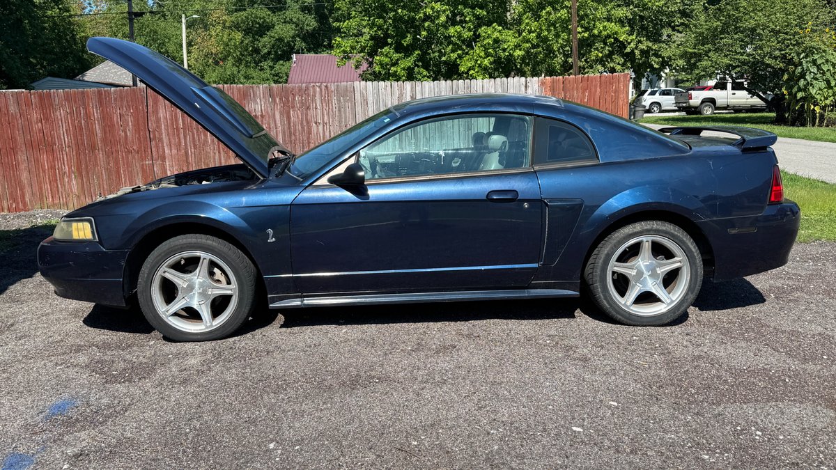 Image for Mustang, Tools, Electronics, Household And More