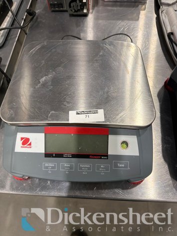 Image for OHAUS RANGER 3000 SCALE