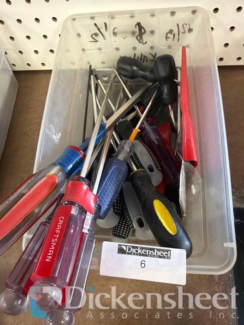Image for SCREW DRIVERS IN CLEAR TUB