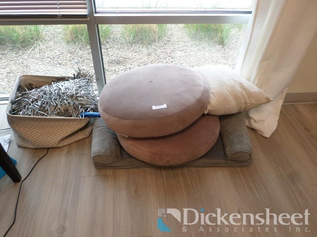 Image for PUPPY BEDS LOT
