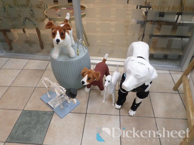 Image for DOG COLLECTION
