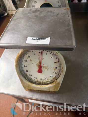 Image for PORTION SCALE