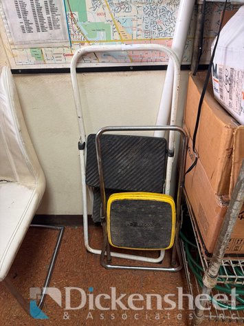 Image for (2) STEP STOOLS