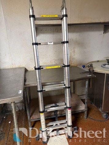 Image for TELESCOPIC LADDER