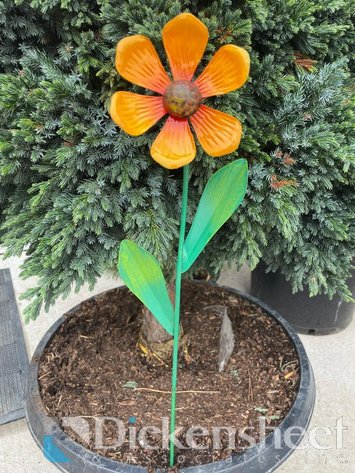 Image for NEAR PARKER-Castlewood Gardens-Trees, Shrubs, Boulders & More