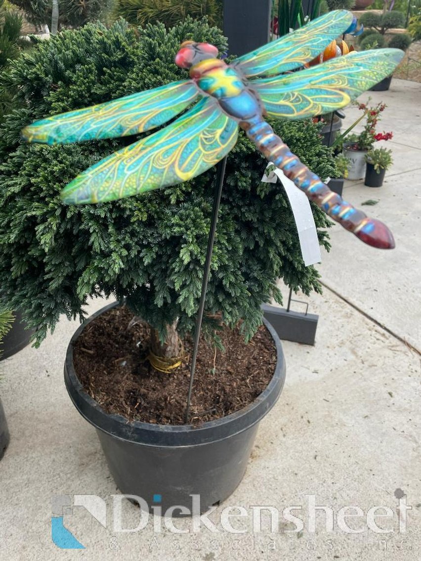 Image for NEAR PARKER-Castlewood Gardens-Trees, Shrubs, Boulders & More