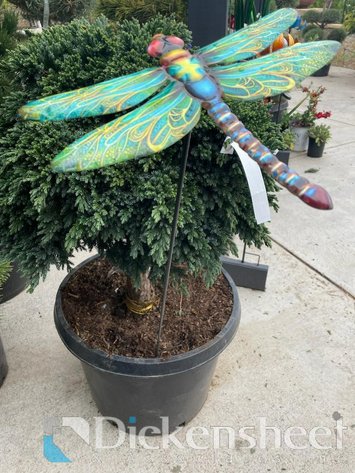 Image for NEAR PARKER-Castlewood Gardens-Trees, Shrubs, Boulders & More