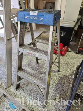 Image for WERNER 3 FT STEP LADDER