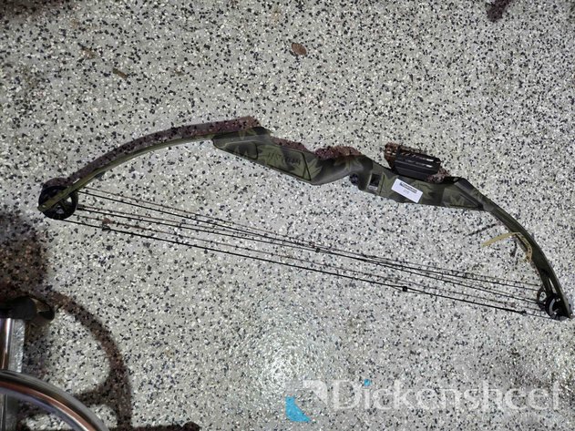 Image for COMPOUND BOW