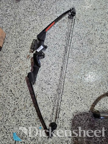 Image for COMPOUND BOW