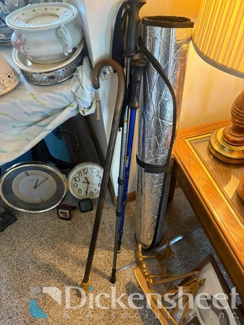 Image for CANE AND WALKING STICK LOT