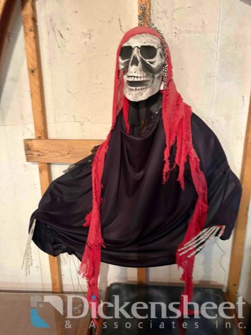 Image for SKELETON DECOR
