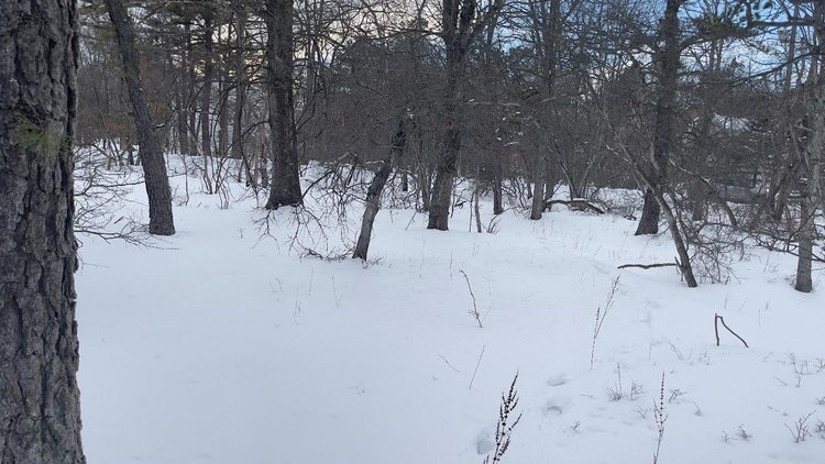 Image for Builder’s Auction – 4 Lots Sold as a Package Poconos, PA