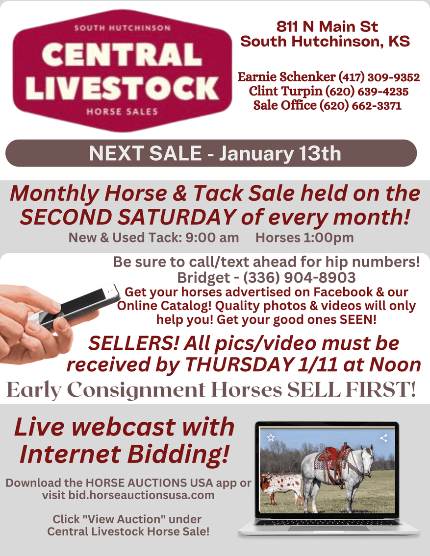 Image for CANCELLED Central Livestock Horse Sale January 13th CANCELLED DUE TO WEATHER