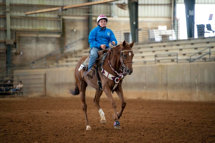 Image for Mize Horse Sale  SATURDAY JUNE 29TH - Mize, Mississippi