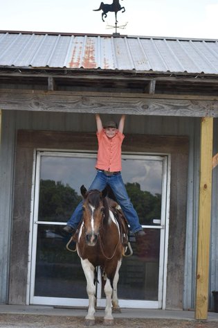Image for Burrell Livestock Auction Inc. JULY 6TH 2024 SALE