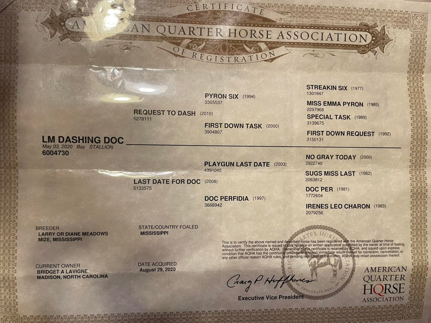 Image for Burrell Livestock Auction Inc. JULY 6TH 2024 SALE