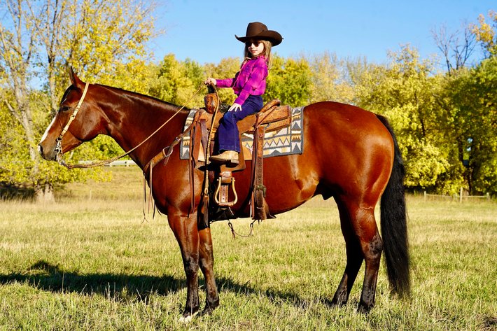 Image for Corsica Horse Sales Catalog Sale - SATURDAY, JULY 6TH - Corsica, South Dakota