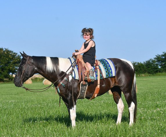 Image for Jones Livestock Auction MONTHLY HORSE & TACK SALE!   Saturday, July 13th!