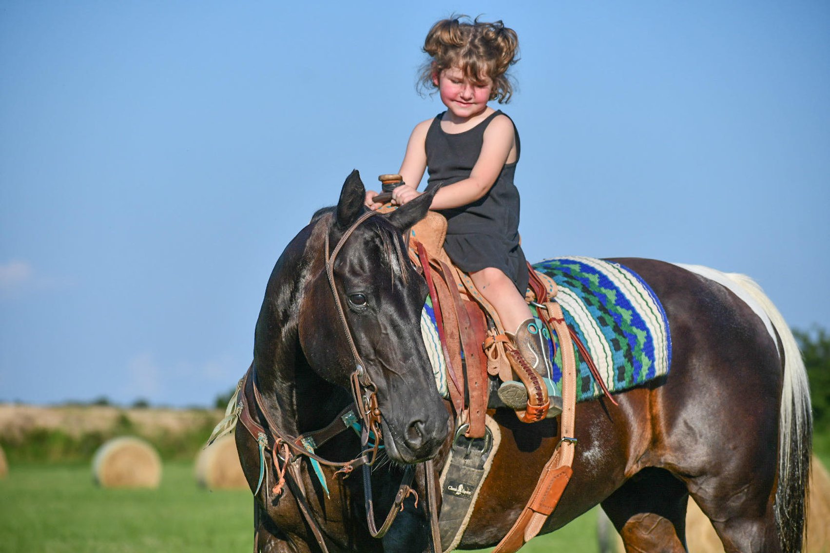 Image for Jones Livestock Auction MONTHLY HORSE & TACK SALE!   Saturday, July 13th!