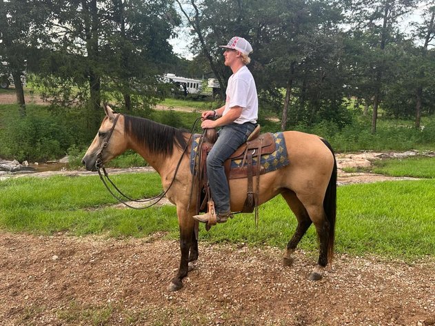Image for Knoxville Livestock Auction Catalog Horse Sale - SATURDAY JULY 20TH 2024  - Knoxville, Tennessee