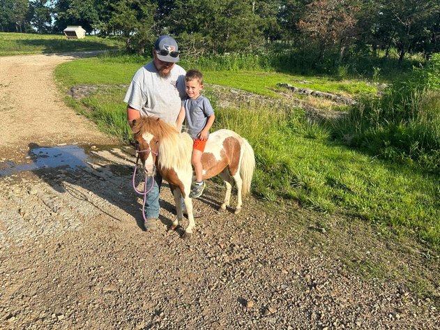Image for Knoxville Livestock Auction Catalog Horse Sale - SATURDAY JULY 20TH 2024  - Knoxville, Tennessee