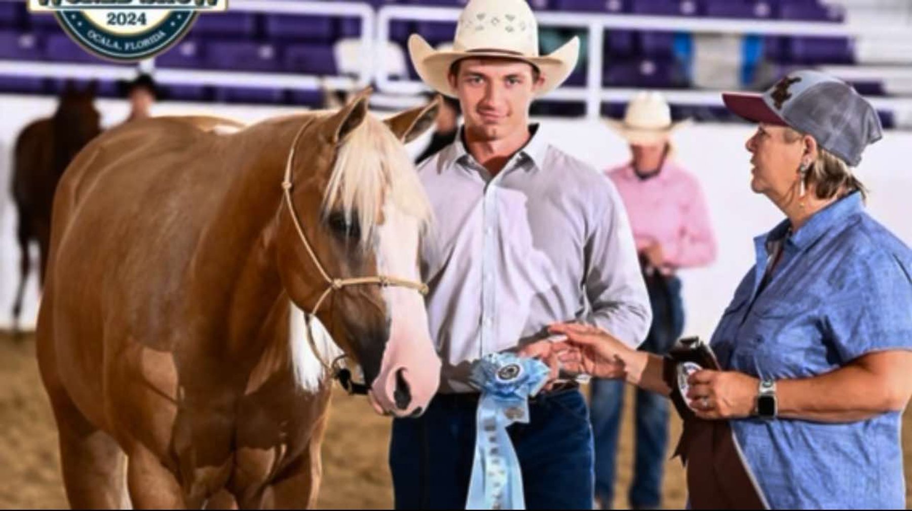 Image for Interstate Regional Stockyards TWO DAY AUGUST SPECIAL - DAY 1 - WEDNESDAY AUGUST 21ST