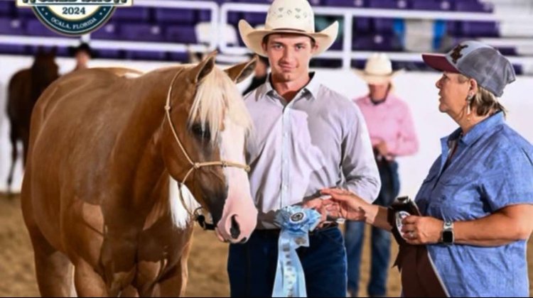 Image for Interstate Regional Stockyards TWO DAY AUGUST SPECIAL - DAY 1 - WEDNESDAY AUGUST 21ST