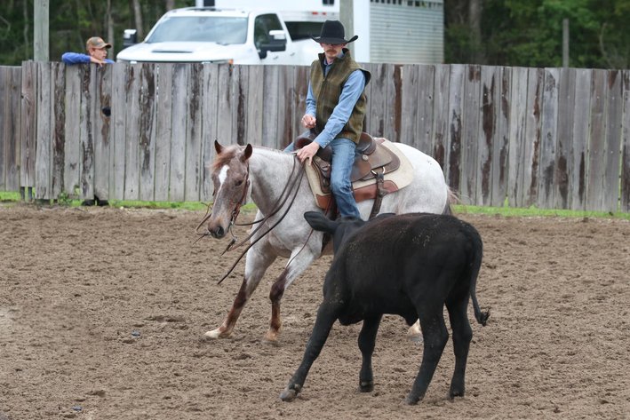 Image for Southwest Horse Sale Fall Catalog Sale - SATURDAY OCTOBER 26TH - Bush, LA