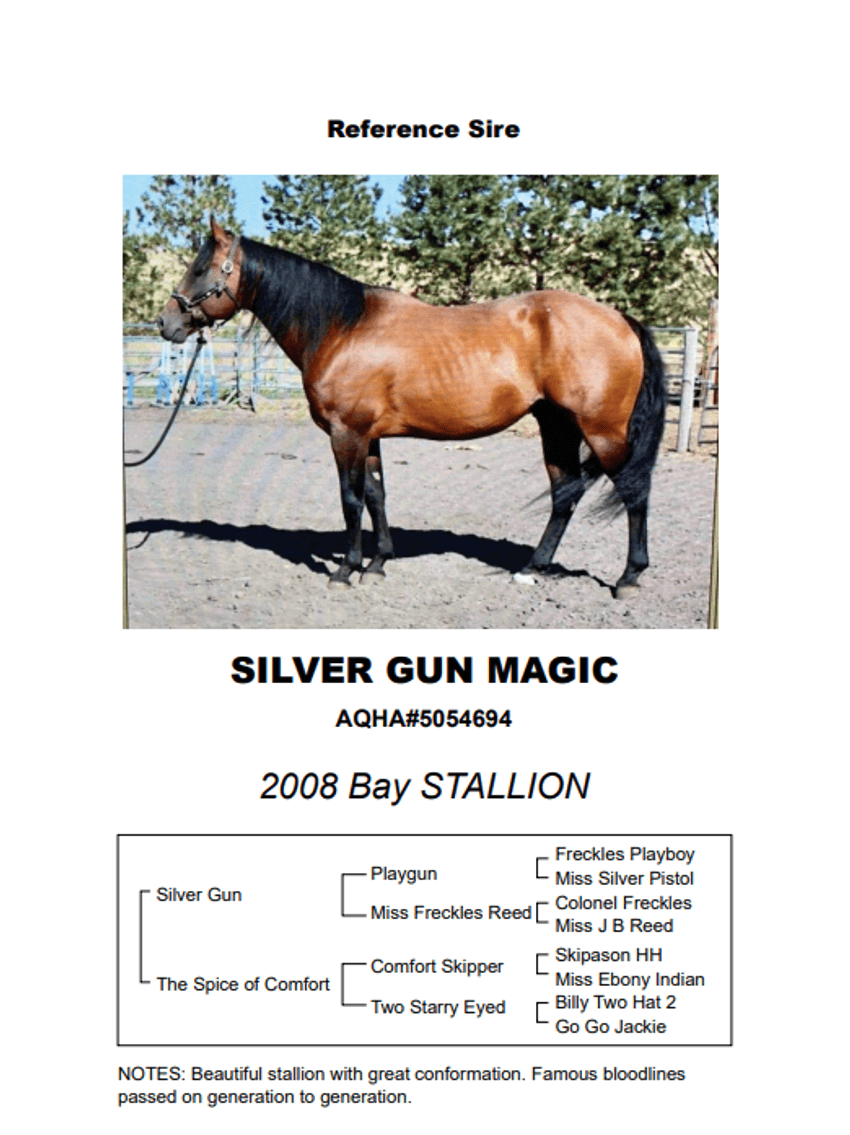 Image for Corbridge Quarter Horses Annual Production Sale - ONLINE ONLY!!!  Runs September 27th through October 6th!