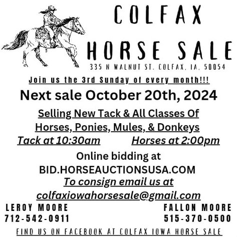 Image for Colfax Iowa Horse Sale - SUNDAY - OCTOBER 20TH