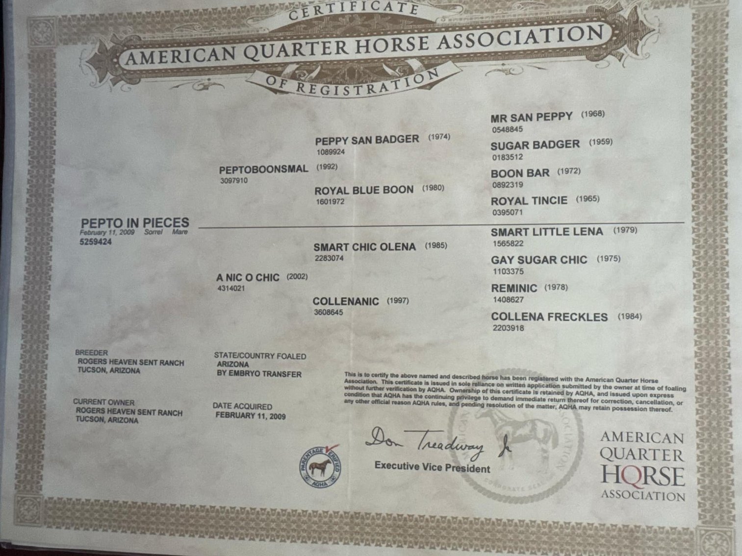 Image for Jones Livestock Auction MONTHLY HORSE & TACK SALE!   Saturday, December 14th!