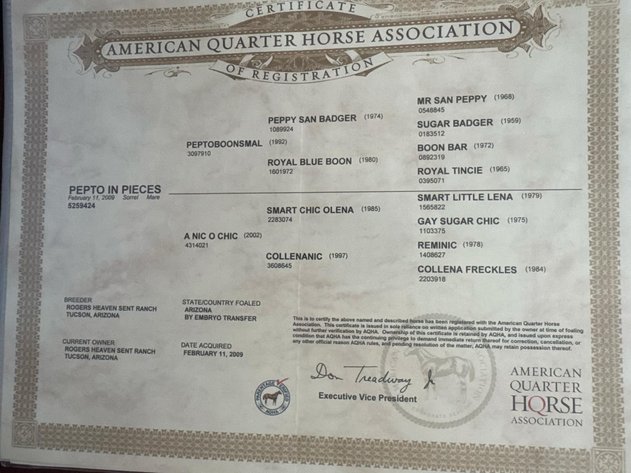 Image for Jones Livestock Auction MONTHLY HORSE & TACK SALE!   Saturday, December 14th!