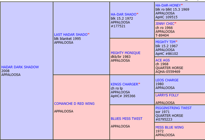 Image for Mize Horse Sale  SATURDAY DECEMBER 21ST - Mize, Mississippi