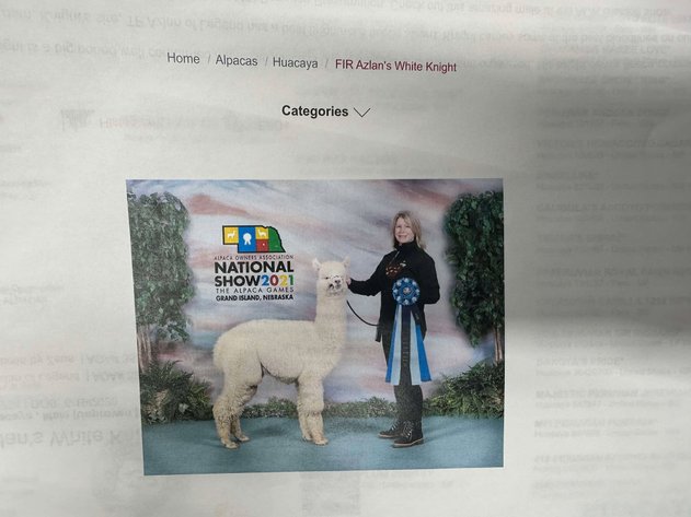 Image for Jones Livestock Auction THURSDAY JANUARY 9TH -  Jones, Oklahoma