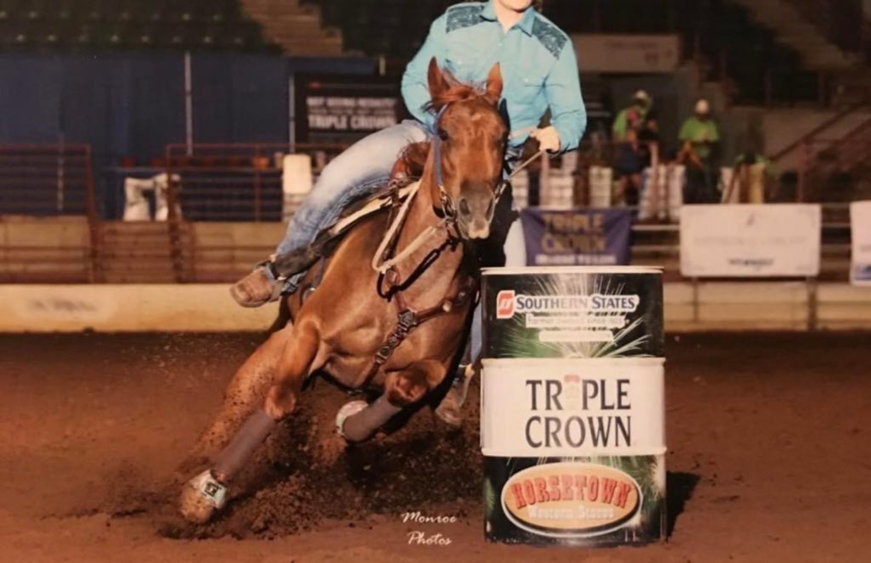 Image for Interstate Regional Stockyards Horse Sale - Cuba, Missouri WEDNESDAY January 15th