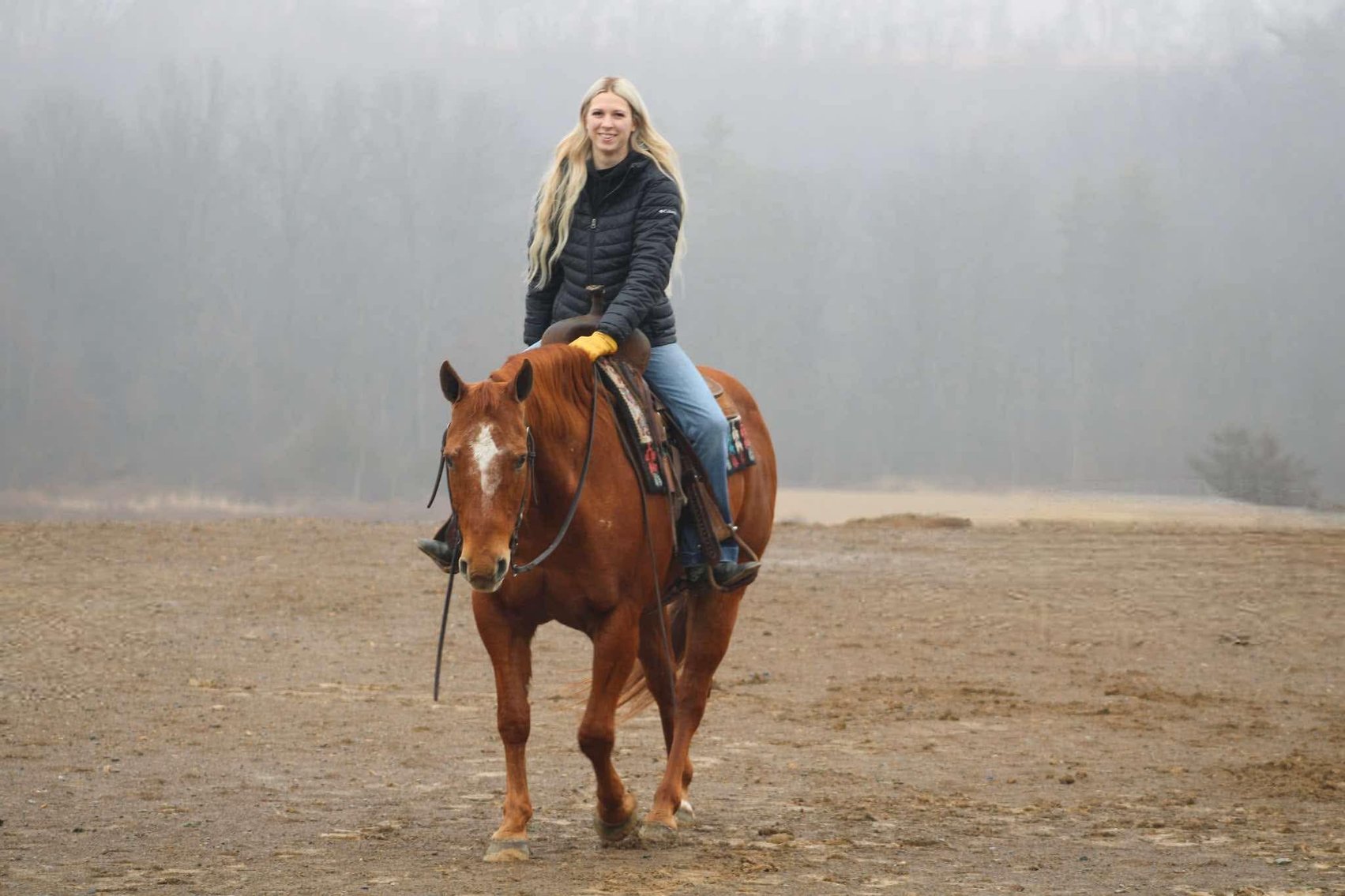 Image for Interstate Regional Stockyards Horse Sale - Cuba, Missouri WEDNESDAY January 15th